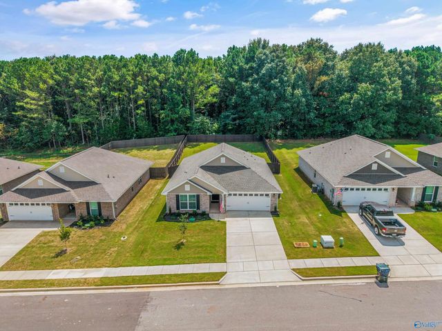 250 Poppy Trail, Meridianville, AL 35759