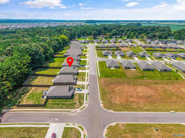 250 Poppy Trail, Meridianville, AL 35759
