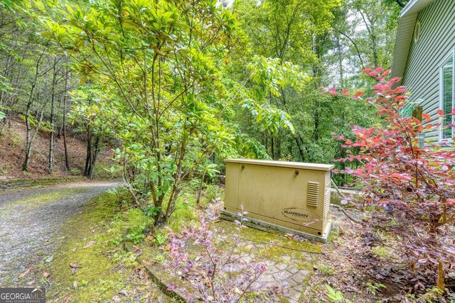 61 Amelia Lane, Blue Ridge, GA 30513