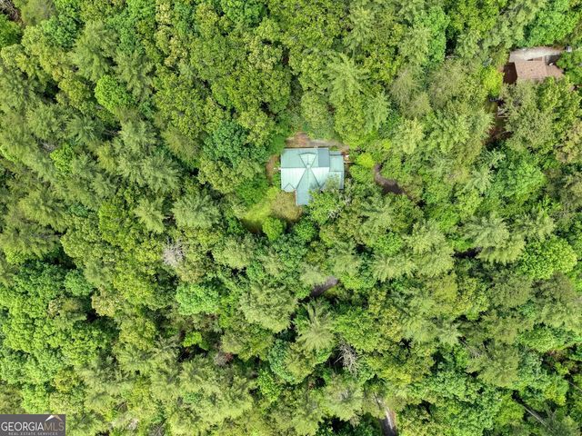61 Amelia Lane, Blue Ridge, GA 30513