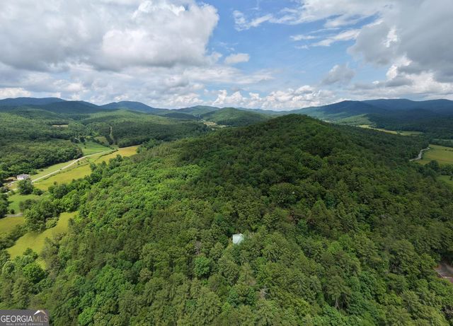 61 Amelia Lane, Blue Ridge, GA 30513