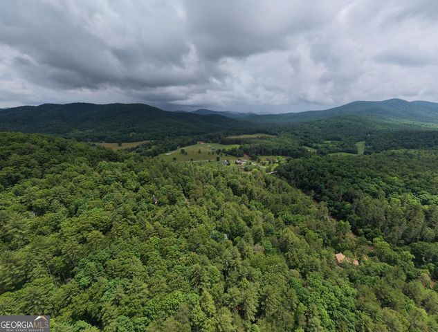 61 Amelia Lane, Blue Ridge, GA 30513