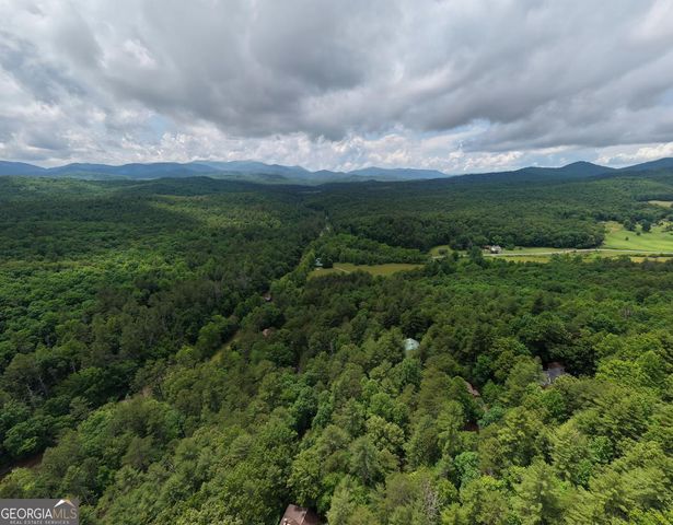 61 Amelia Lane, Blue Ridge, GA 30513