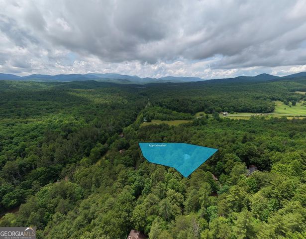 61 Amelia Lane, Blue Ridge, GA 30513