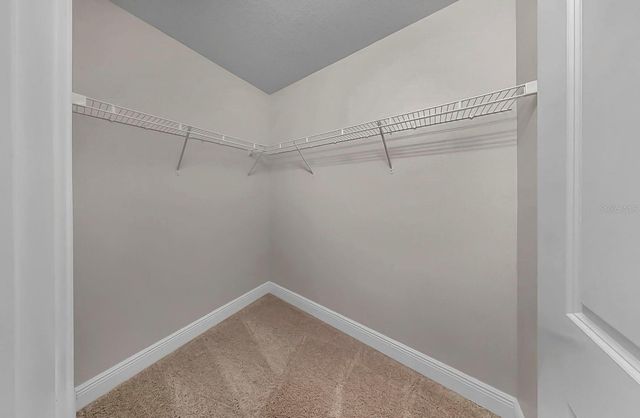 11733 WEATHERED FELLING DRIVE, Riverview, FL 33569