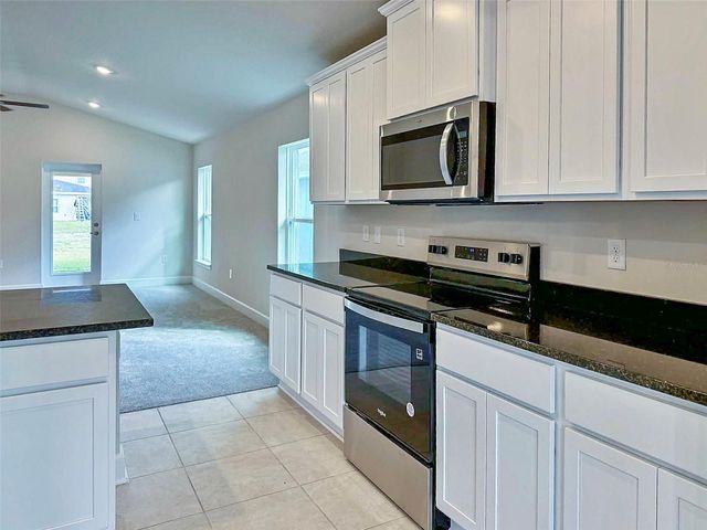 1643 ANN ROSE WAY, Leesburg, FL 34748