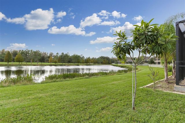 19426 WHISPERING BROOK DRIVE, Tampa, FL 33647