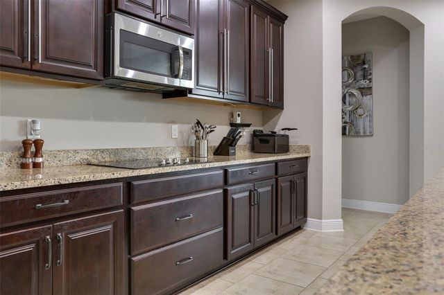 19426 WHISPERING BROOK DRIVE, Tampa, FL 33647