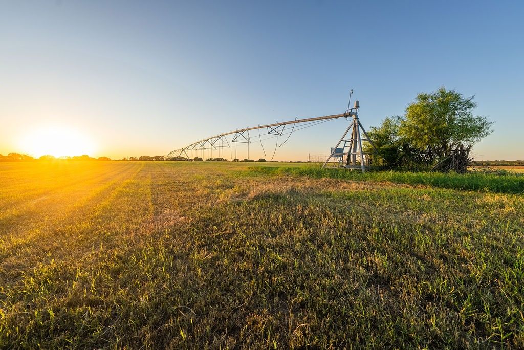 21780 FM 2156 1, Dublin, TX 76446