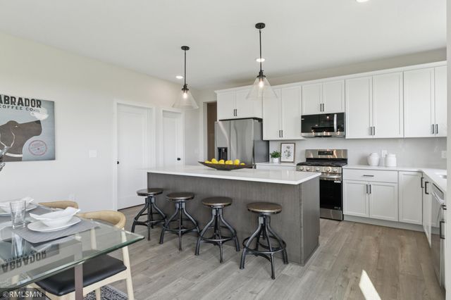 10115 Blackmoor Road, Woodbury, MN 55129