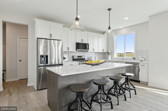 10115 Blackmoor Road, Woodbury, MN 55129