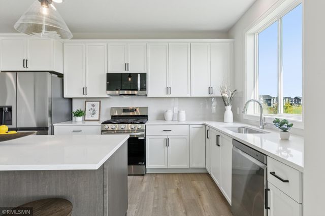 10115 Blackmoor Road, Woodbury, MN 55129