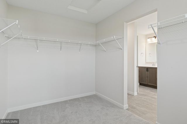 10115 Blackmoor Road, Woodbury, MN 55129