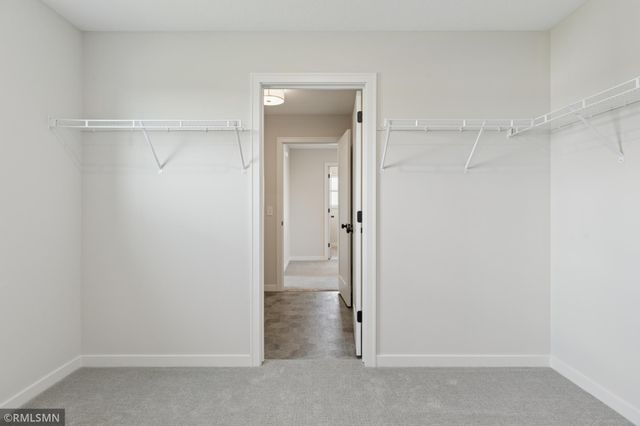 10115 Blackmoor Road, Woodbury, MN 55129