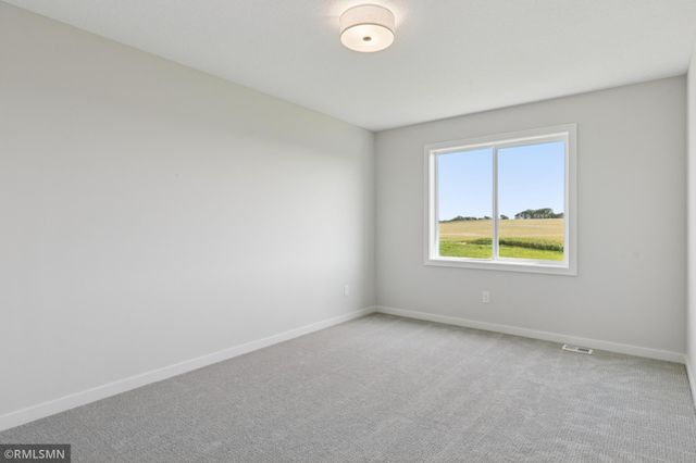 10115 Blackmoor Road, Woodbury, MN 55129