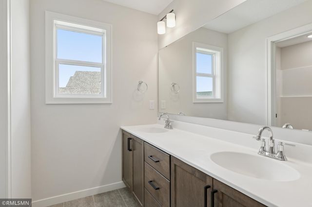 10115 Blackmoor Road, Woodbury, MN 55129