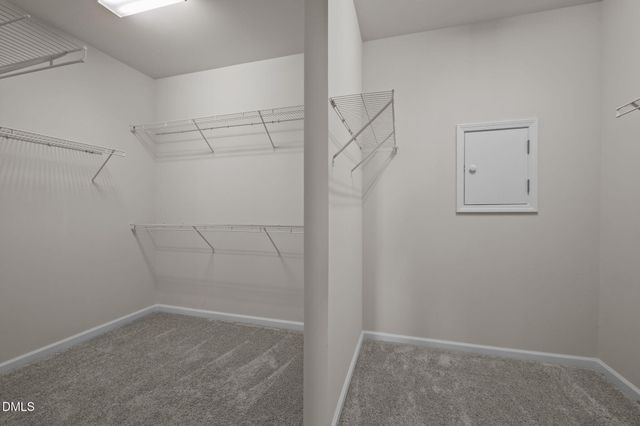 105 Tanoak Court, Durham, NC 27703