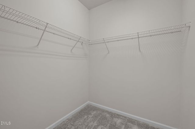 105 Tanoak Court, Durham, NC 27703