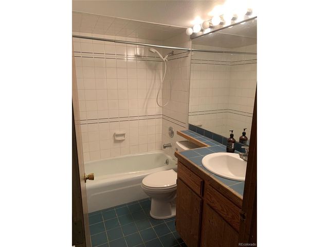 490 W Coyote Dr, Silverthorne, CO 80498