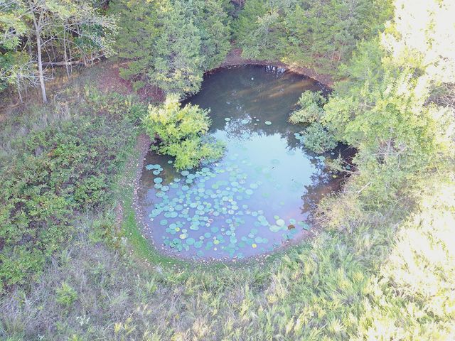 6487 N Farm Road 171, Springfield, MO 65803