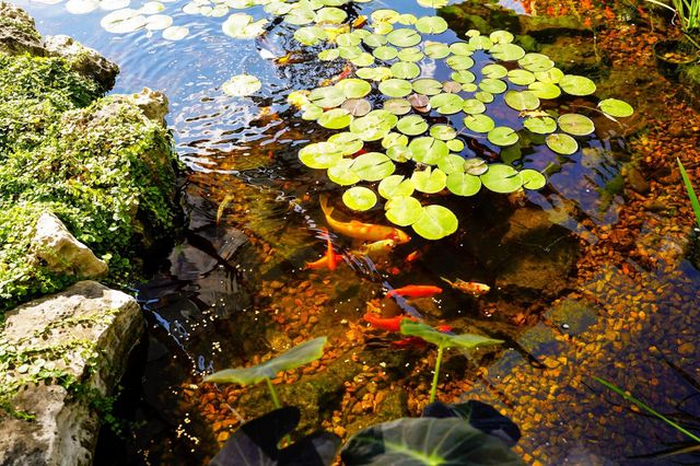 6487 N Farm Road 171, Springfield, MO 65803