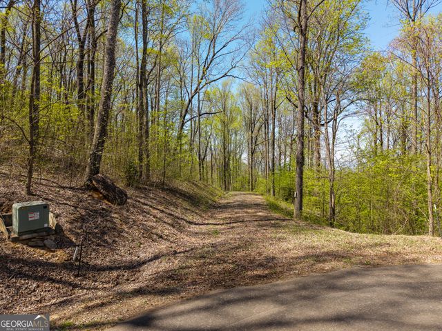245 Smokerise Court, Ellijay, GA 30536
