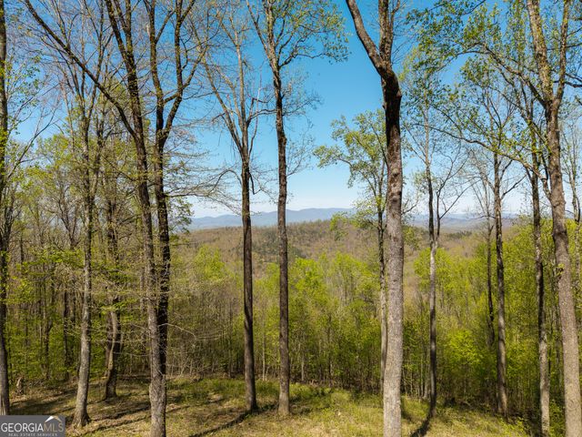 245 Smokerise Court, Ellijay, GA 30536