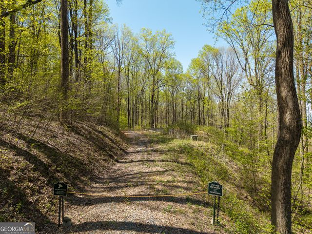 245 Smokerise Court, Ellijay, GA 30536
