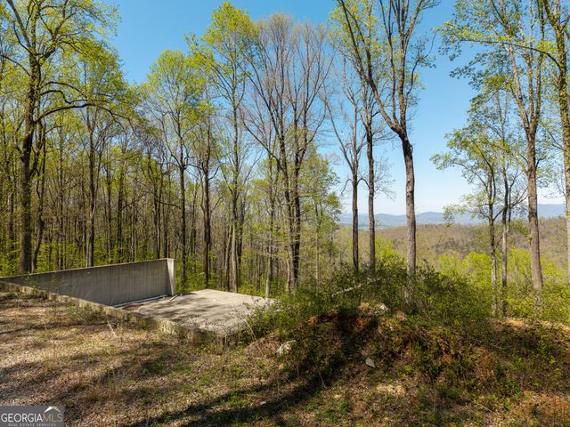 245 Smokerise Court, Ellijay, GA 30536