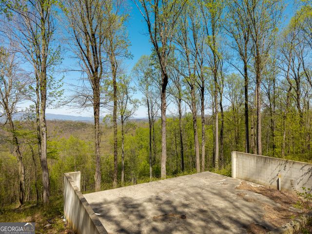 245 Smokerise Court, Ellijay, GA 30536