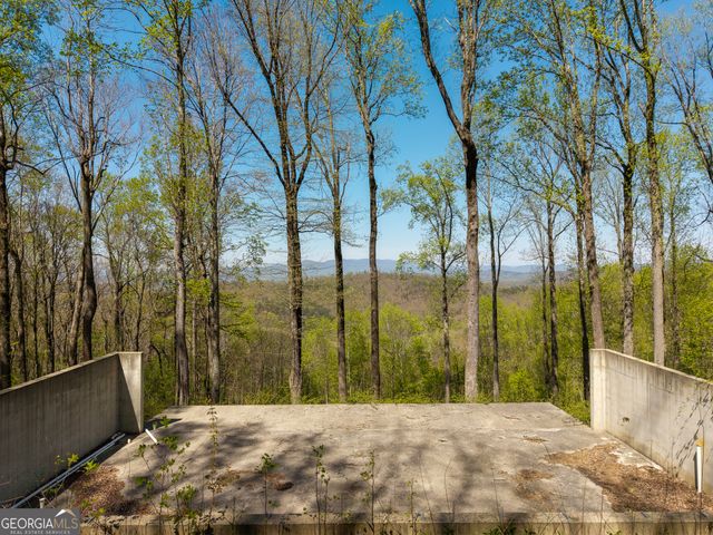 245 Smokerise Court, Ellijay, GA 30536