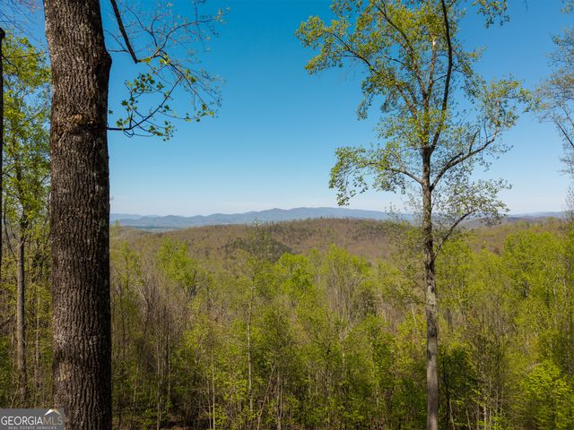 245 Smokerise Court, Ellijay, GA 30536