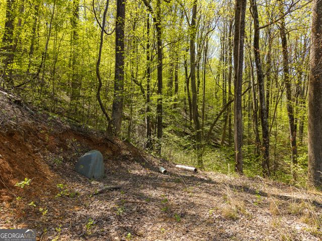 245 Smokerise Court, Ellijay, GA 30536
