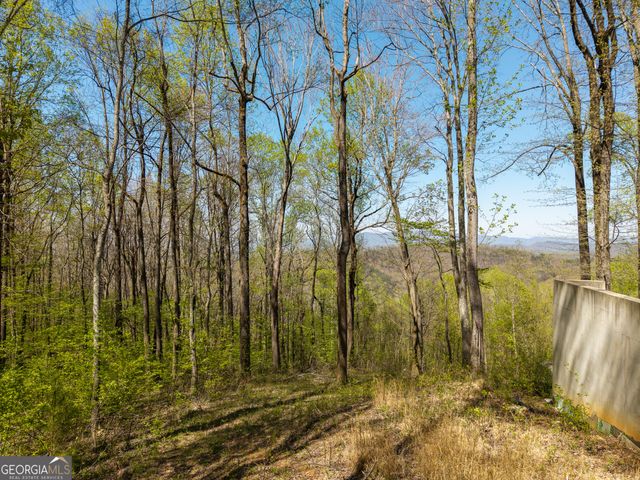 245 Smokerise Court, Ellijay, GA 30536