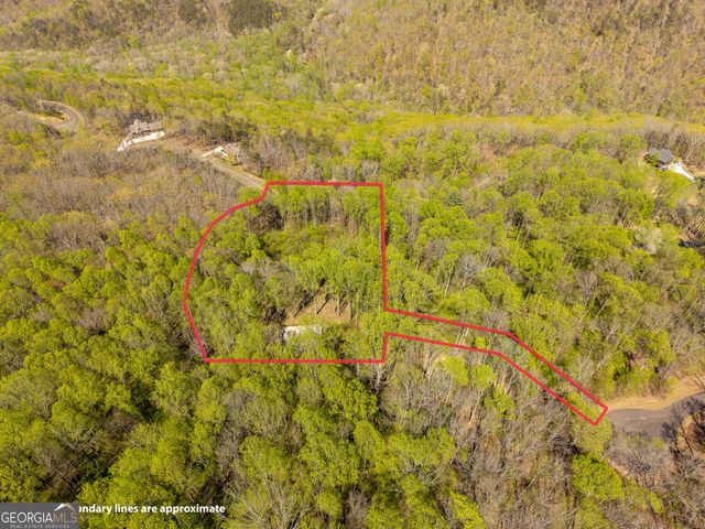 245 Smokerise Court, Ellijay, GA 30536