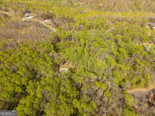 245 Smokerise Court, Ellijay, GA 30536
