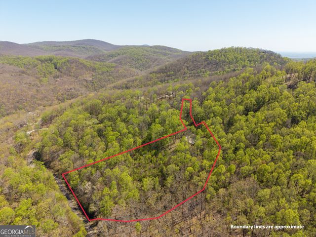 245 Smokerise Court, Ellijay, GA 30536