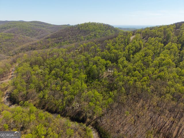 245 Smokerise Court, Ellijay, GA 30536