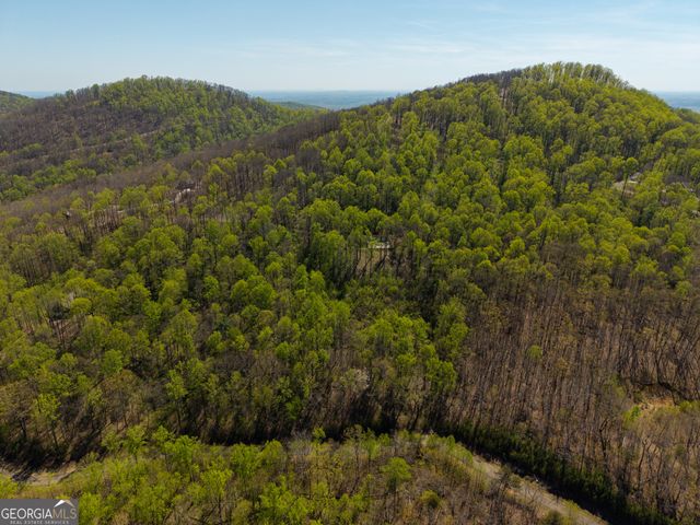 245 Smokerise Court, Ellijay, GA 30536