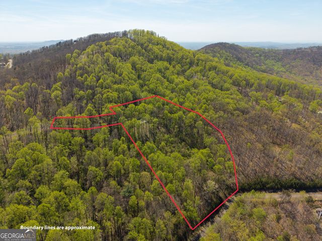 245 Smokerise Court, Ellijay, GA 30536