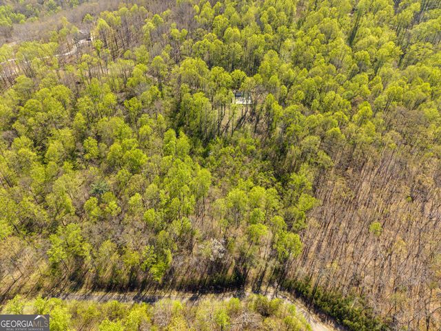 245 Smokerise Court, Ellijay, GA 30536
