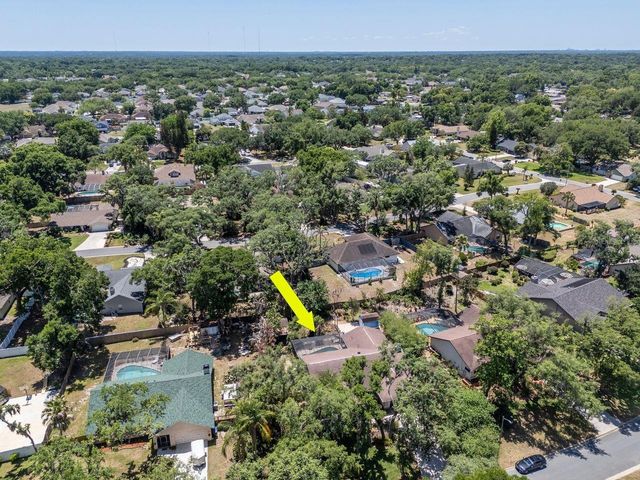 2763 BUCKHORN OAKS DRIVE, Valrico, FL 33594