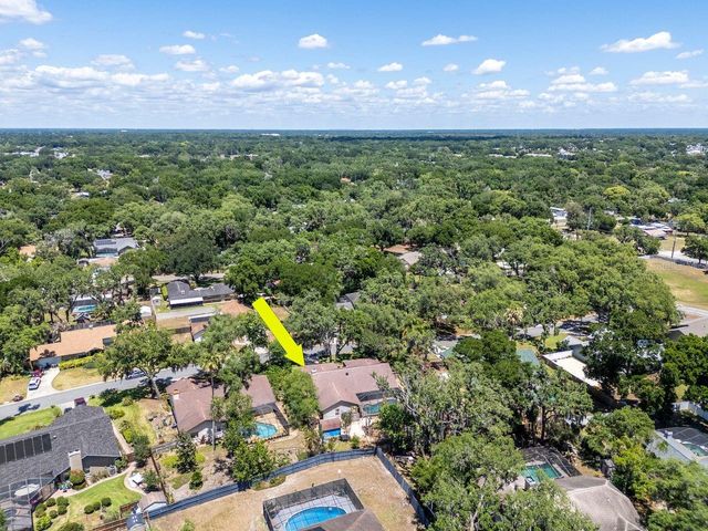 2763 BUCKHORN OAKS DRIVE, Valrico, FL 33594