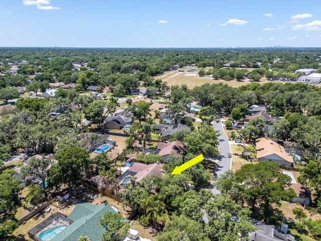 2763 BUCKHORN OAKS DRIVE, Valrico, FL 33594
