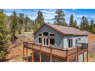 461 Hitchrack Rd, Bailey, CO 80421