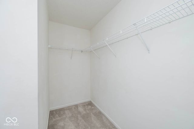5067 Clay Creek Lane, Plainfield, IN 46168