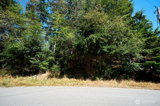 2 & 3 LOT Sycamore Road, Coupeville, WA 98239
