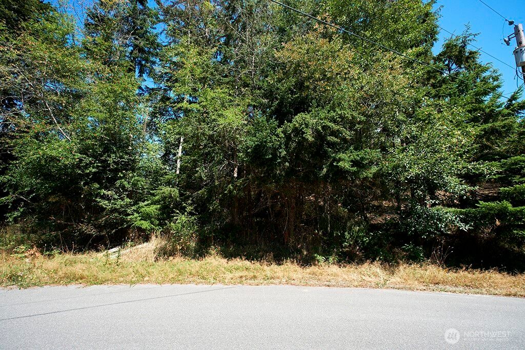 2 & 3 LOT Sycamore Road, Coupeville, WA 98239
