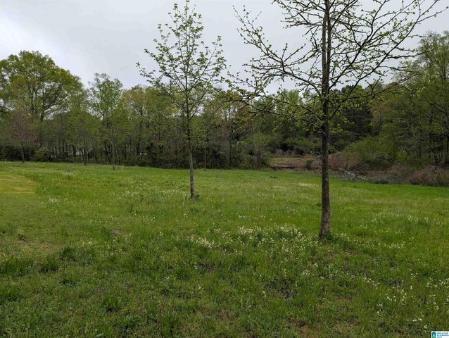 7145 US HIGHWAY 278 W, Cullman, AL 35057