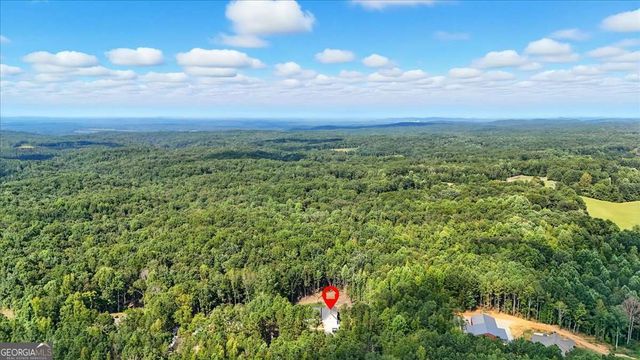 62 Joe Rowell Road, Buchanan, GA 30113